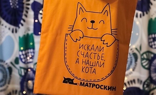 Дизайнерская экосумочка "Искали счастье, а нашли кота!"